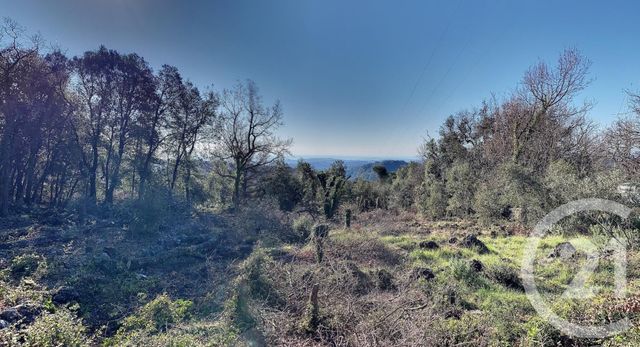 Afficher la photo en grand terrain à vendre - 5400.0 m2 - TOURRETTES SUR LOUP - 06 - PROVENCE-ALPES-COTE-D-AZUR - Century 21 Mas D'Azur