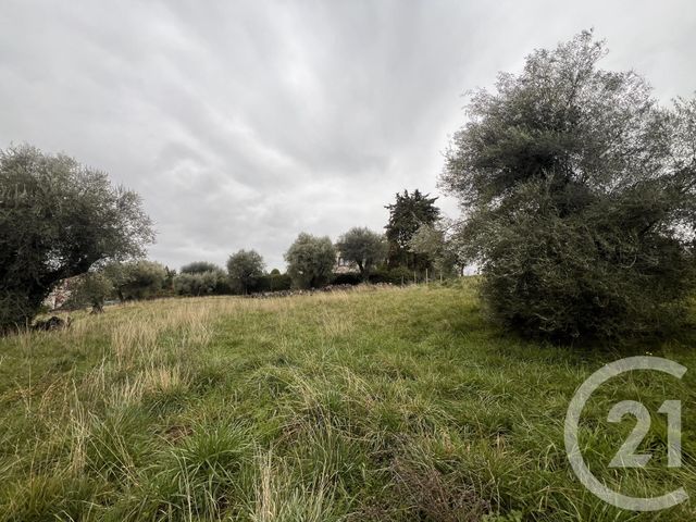 terrain à vendre - 1002.0 m2 - VENCE - 06 - PROVENCE-ALPES-COTE-D-AZUR - Century 21 Mas D'Azur
