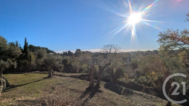 terrain à vendre - 1788.0 m2 - ROQUEFORT LES PINS - 06 - PROVENCE-ALPES-COTE-D-AZUR - Century 21 Mas D'Azur