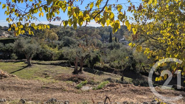 terrain à vendre - 1788.0 m2 - ROQUEFORT LES PINS - 06 - PROVENCE-ALPES-COTE-D-AZUR - Century 21 Mas D'Azur